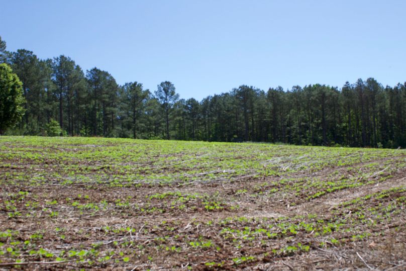 2016-02-12 19.39.29 copy