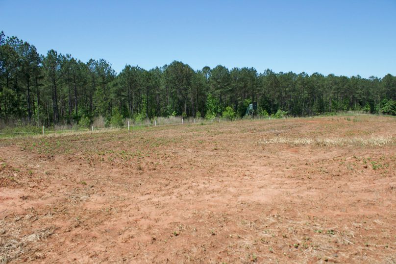 2016-02-12 19.50.23 copy