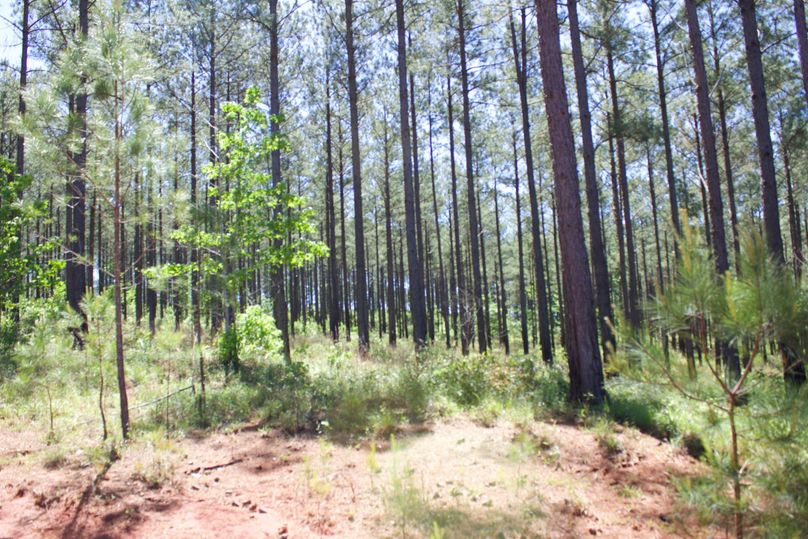 2016-02-12 19.51.15 copy