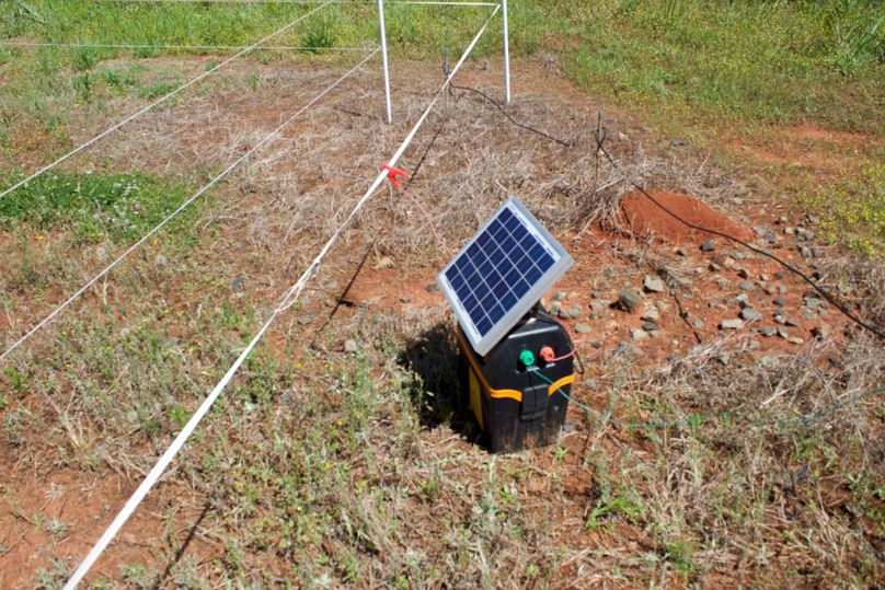 2016-02-12 19.51.38 copy