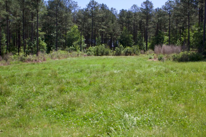 2016-02-12 19.55.49 copy