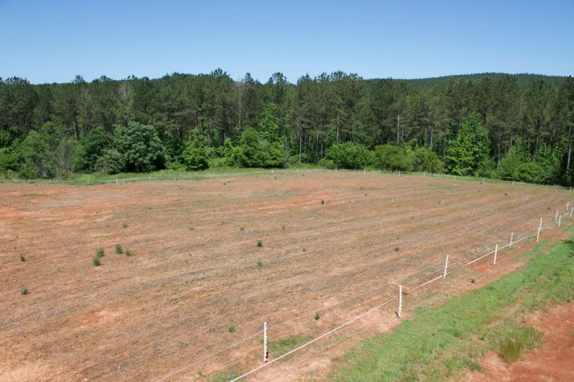 2016-02-12 20.00.15 copy