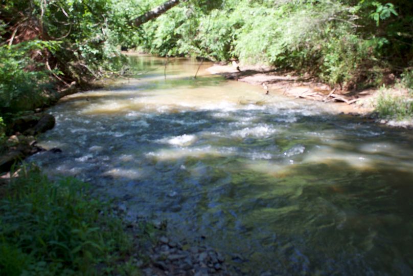 2016-02-12 20.04.18 copy