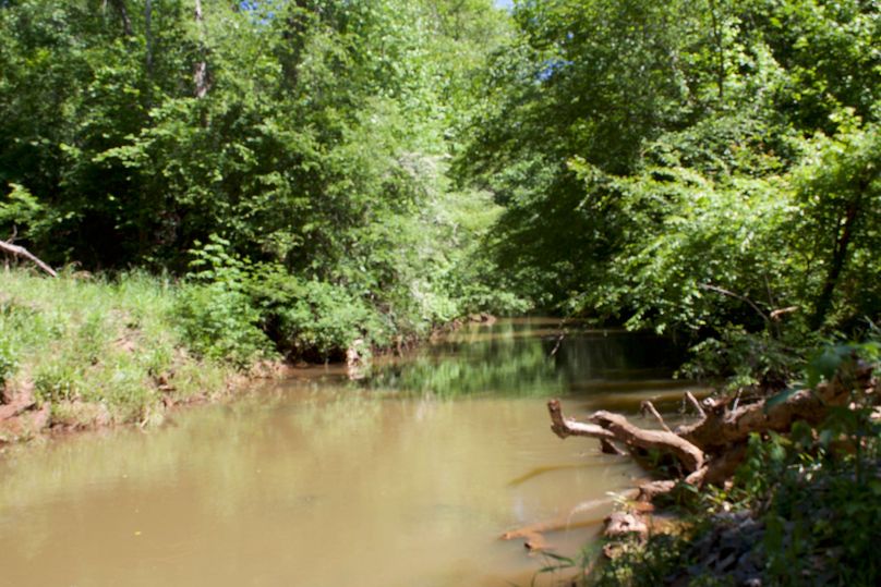 2016-02-12 20.05.04 copy