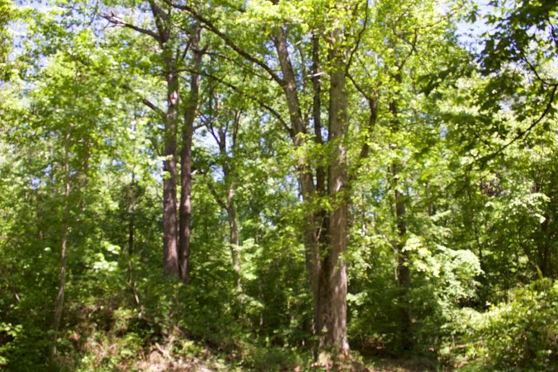 2016-02-12 20.06.09 copy