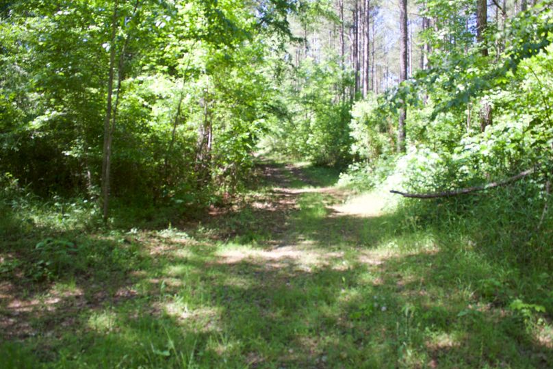 2016-02-12 20.06.24 copy