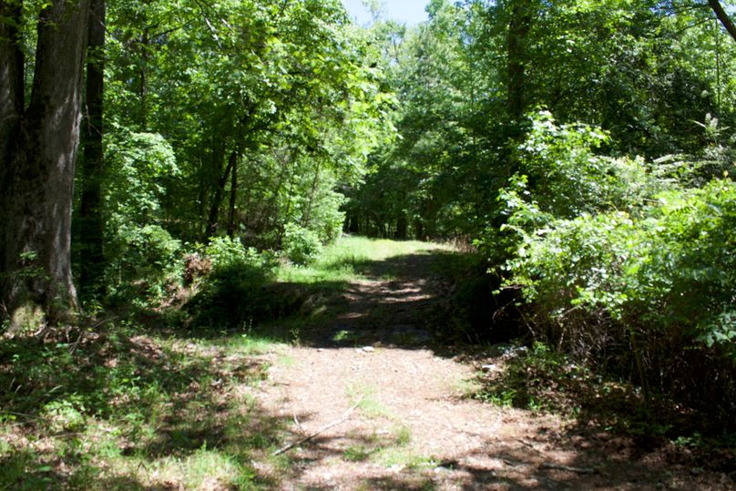 2016-02-12 20.06.31 copy