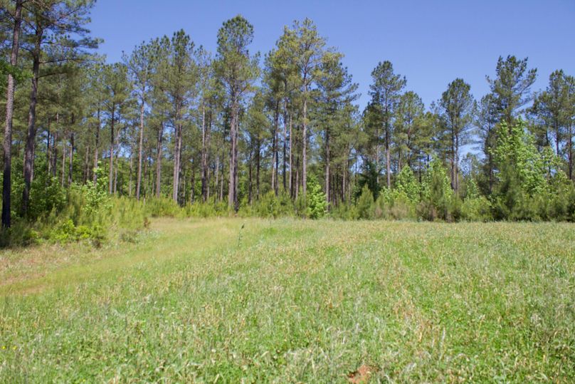 2016-02-12 20.08.54 copy