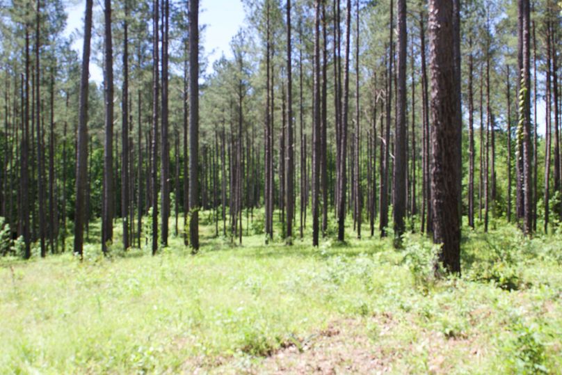 2016-02-12 20.13.14 copy