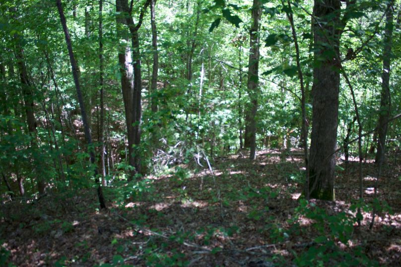 2016-02-12 20.15.27 copy