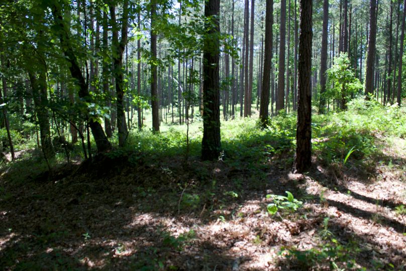 2016-02-12 20.15.33 copy