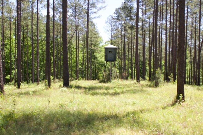 2016-02-12 20.18.12 copy