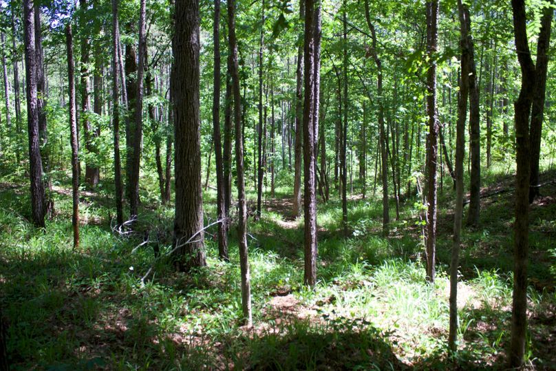 2016-02-12 20.20.00 copy