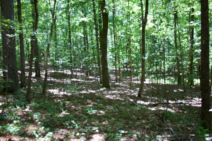 2016-02-12 20.21.26 copy