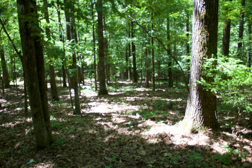 2016-02-12 20.22.35 copy