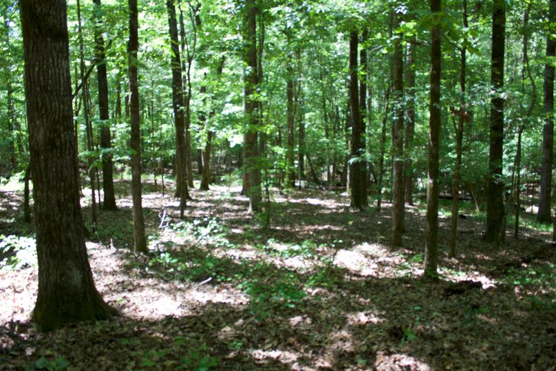 2016-02-12 20.22.58 copy