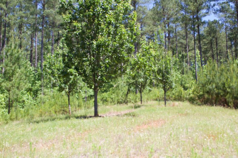 2016-02-12 20.25.08 copy