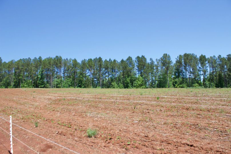 2016-02-12 20.29.17 copy