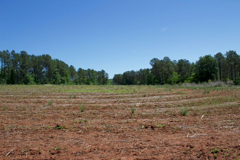 2016-02-12 20.29.22 copy