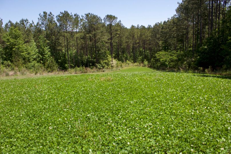 2016-02-12 20.33.05 copy