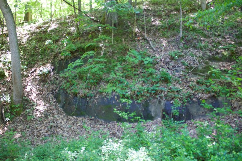 2016-02-12 20.34.51 copy