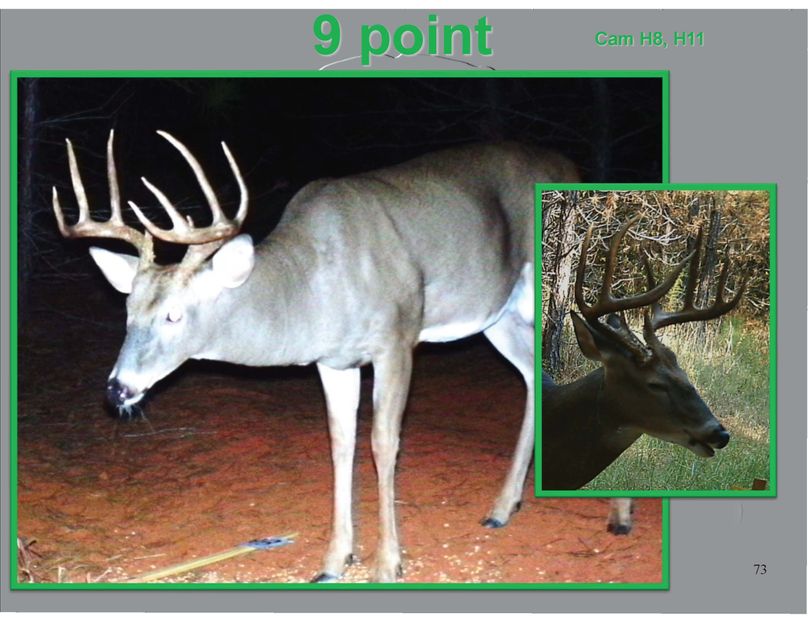 9 point 2