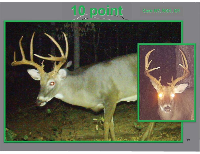 10 point