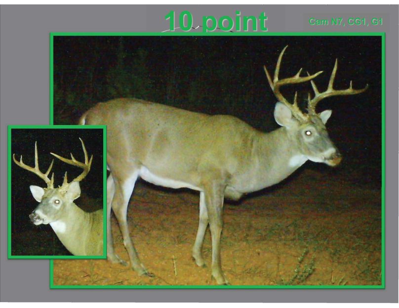 10 point 2