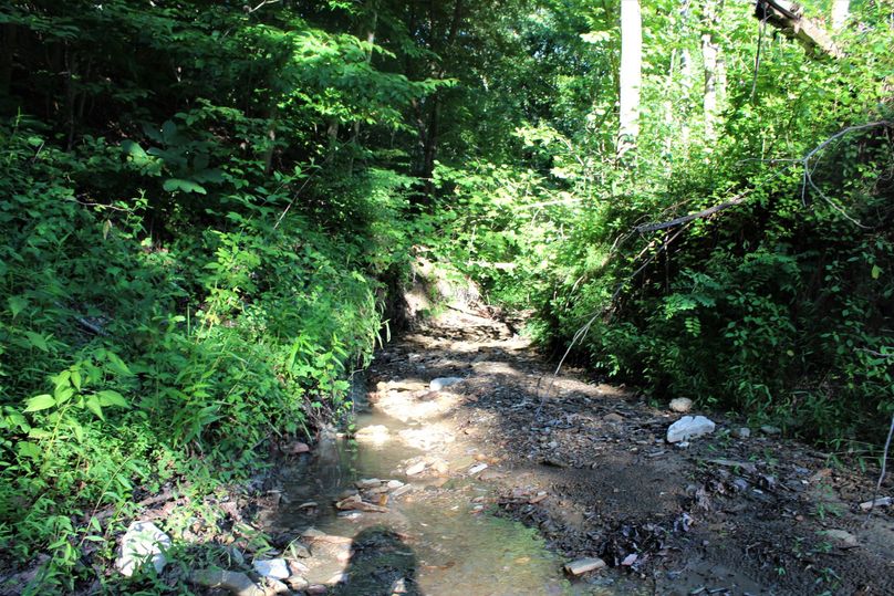 002 seasonal creek flowing west toward the west boundary