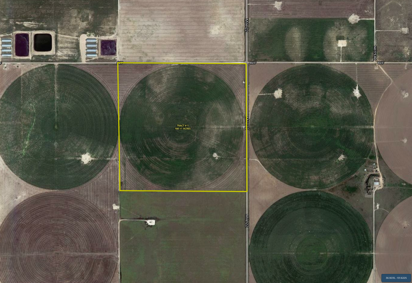 Screen shot 2020-07-01 at 1.49.48 pm