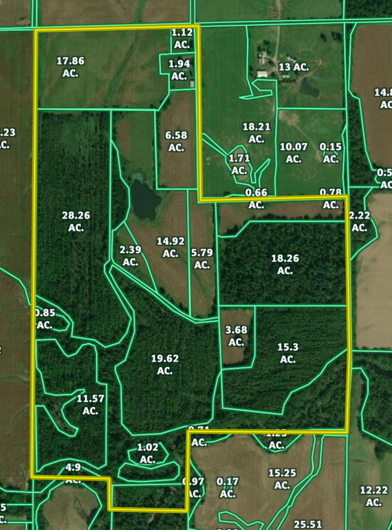 Screen shot 2020-06-27 at 3.21.09 pm