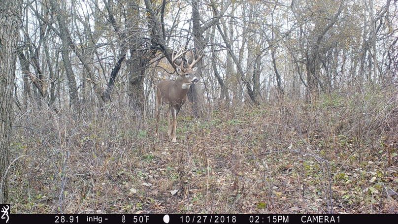 Iowa archery buck alive-2
