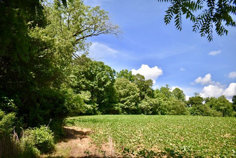 M7btl0unshehpvzkrkevkw thumb 61b9