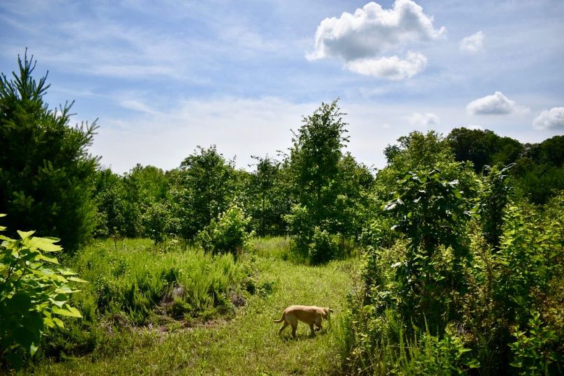 M7qgxlasqhgcpqspphfaq thumb 61b5