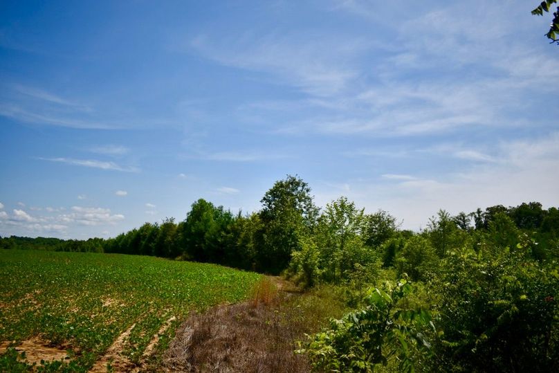 M wzoapvsdmyg6w7wefhyg thumb 61ba