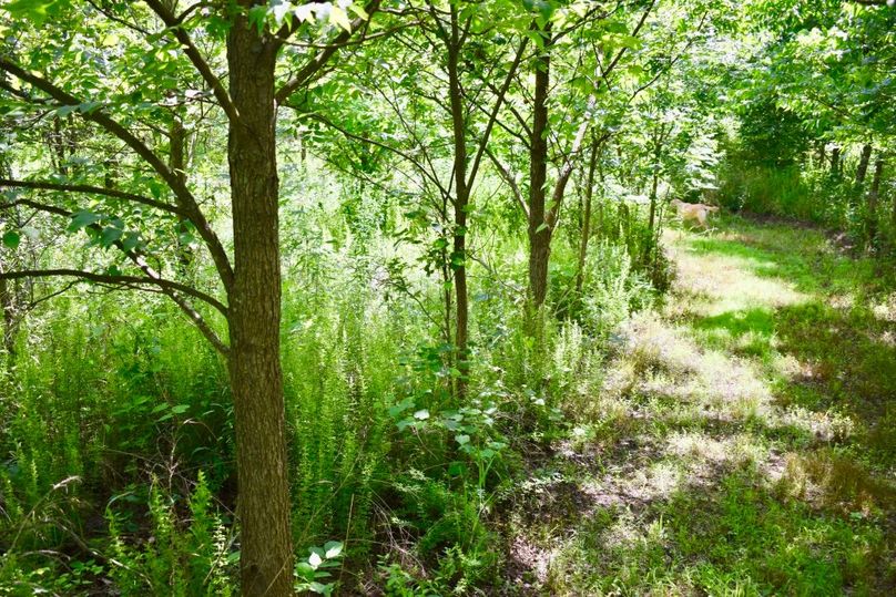 Nt6 um erywcrteu5rrpq thumb 61ab