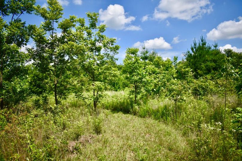 Ncozh6b2rzimy91w9t4 ca thumb 61ae