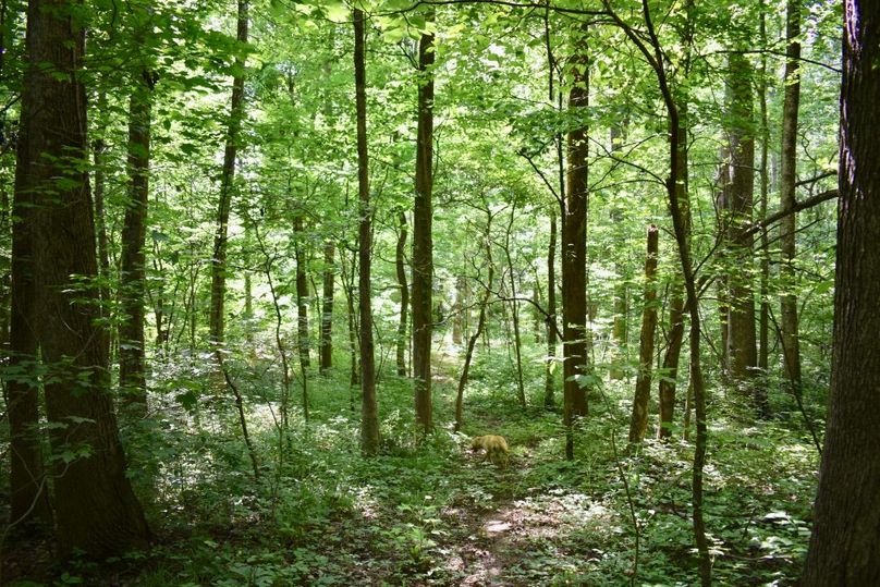 Ai9uhv8lqdaupmk435blxg thumb 61c0