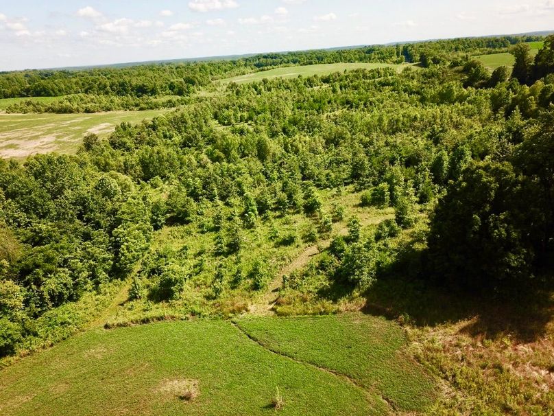 Es7sfuuqrnasydyaxe6g9a thumb 6150