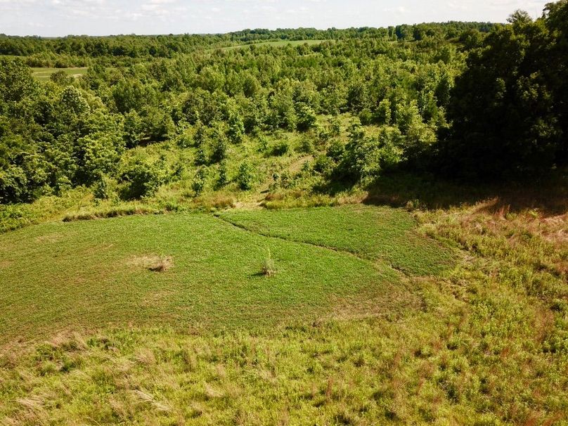 Ftthaladtvubdkzsp7mr7w thumb 6151