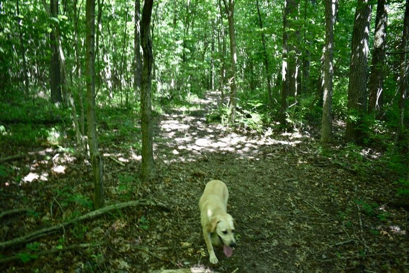 Fa45h8g5qngzvpb t7woya thumb 61bc