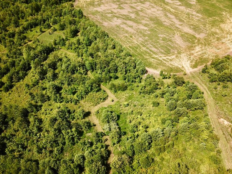 Griszbb3tt2embkohrqega thumb 614d