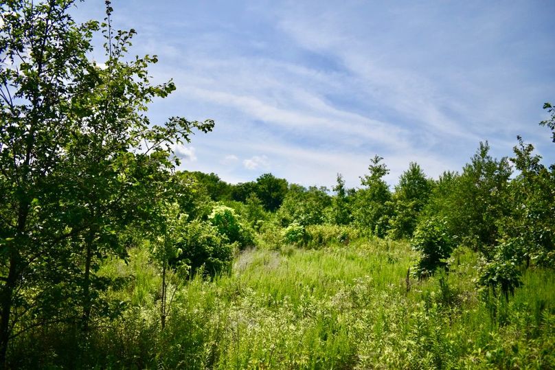 Htxspvgutlvnbah54uiva thumb 61b4