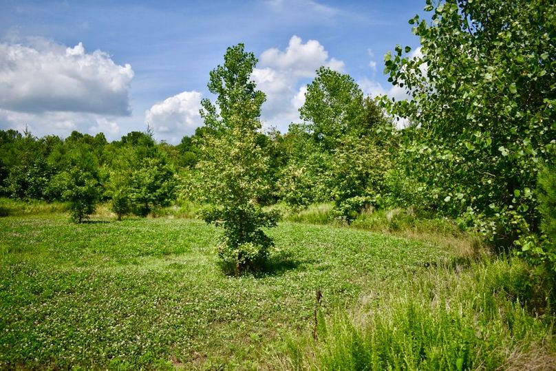 Hkfdjtcprwqebla3tlhqha thumb 61b7