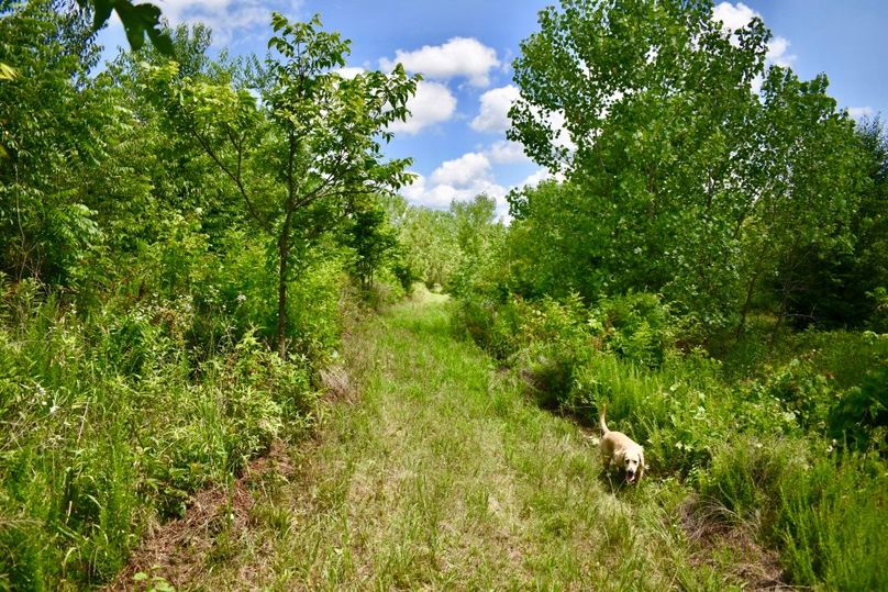 I bzwewesfaqrboluacw thumb 61b0