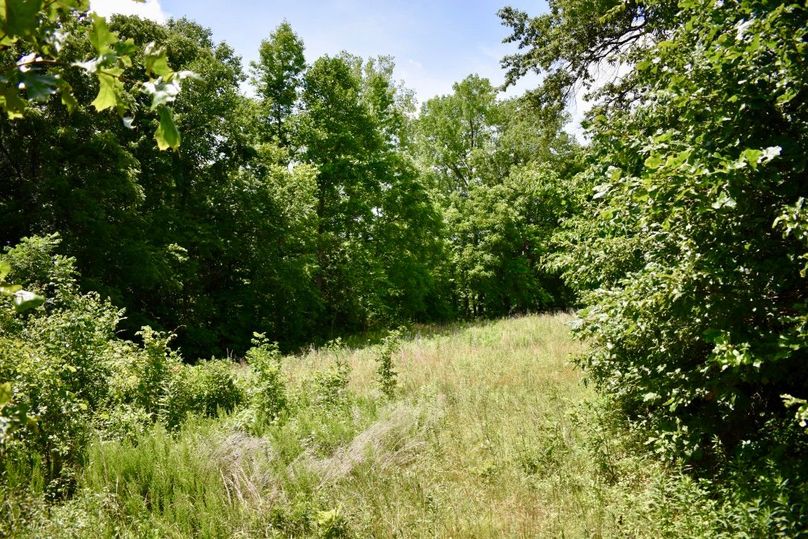 Jlxppo osle7ommfrubrrw thumb 61a8