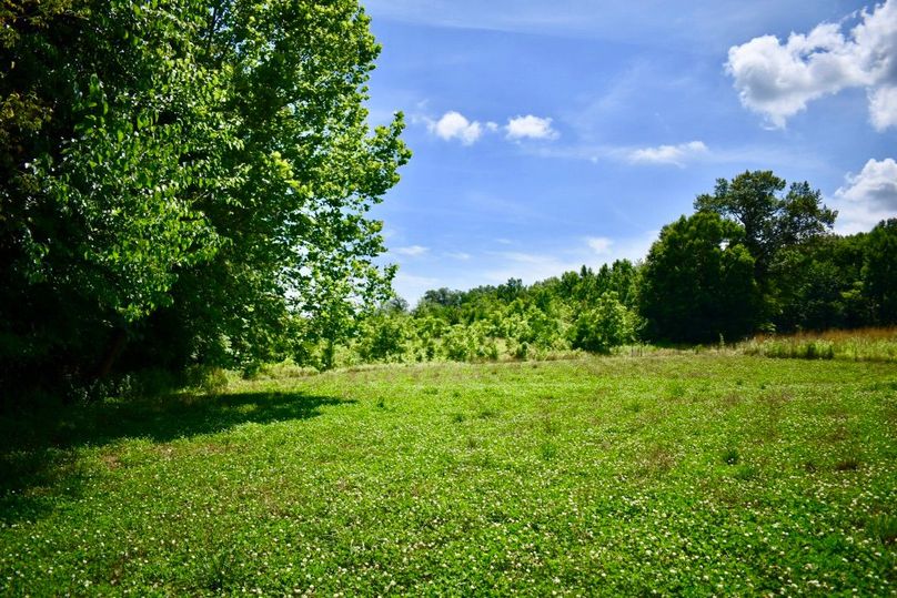 Joaaekktwgzys0fgrxbaa thumb 61a6