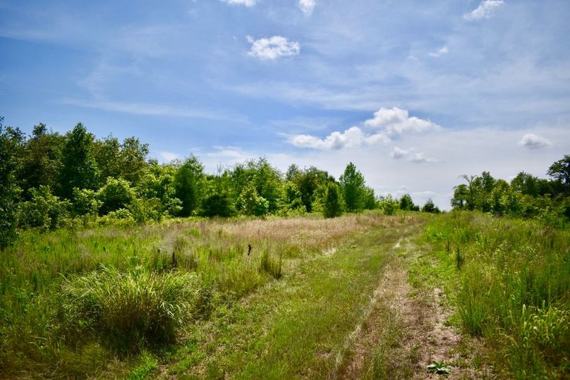 Kxvkopiiqhkj7hfmxbjlea thumb 61b2