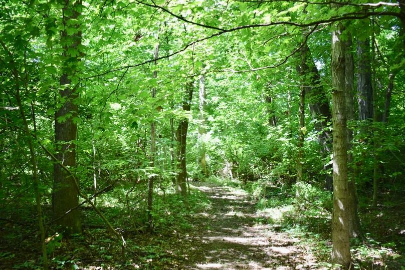 Kov3vusdrygj0oenmc2h5w thumb 61bd