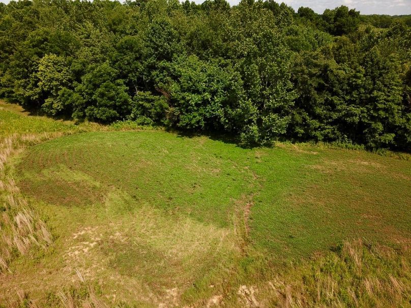 Ly1tg1x0siqudgoismg4uq thumb 6152